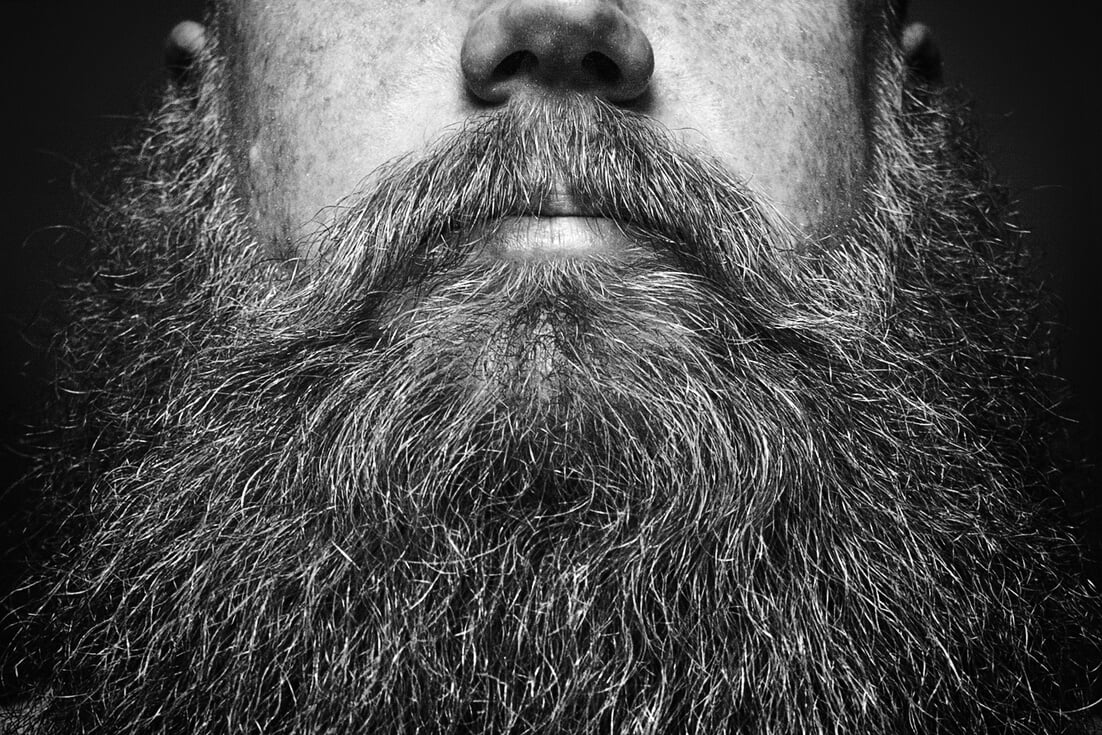 Big Bearded Man Portrait